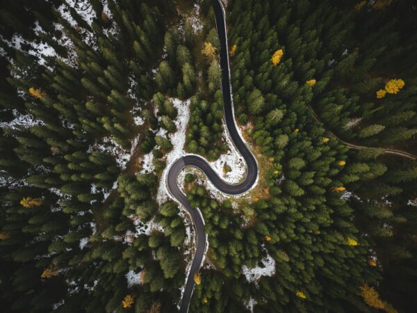 Bird's Eye View Of Roadway Surrounded By Trees