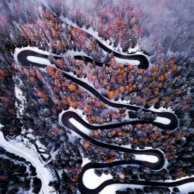 Black Paved Road Surrounding by Trees