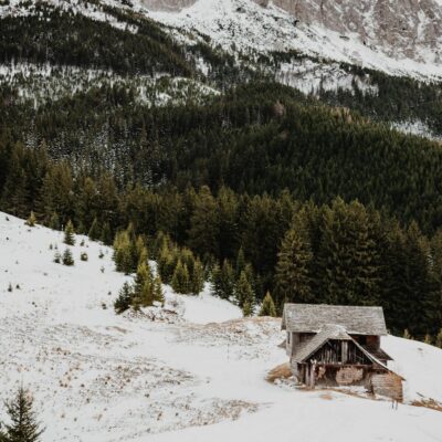 Brown Wooden House on Snow Covered Ground Near Green Pine Trees and Mountain