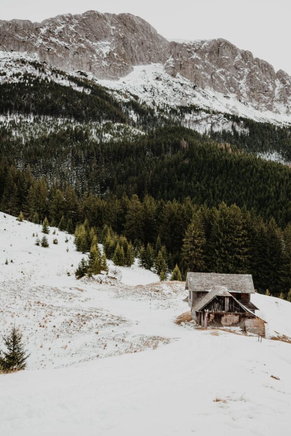 Brown Wooden House on Snow Covered Ground Near Green Pine Trees and Mountain